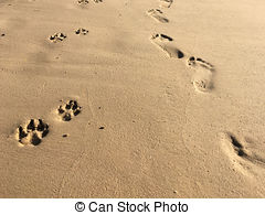 cima-de-homem-pegada-e-filhote-cachorro-cão-impressões-ligado-a-areias-praia-cedo-banco-de-imagens_csp44493808